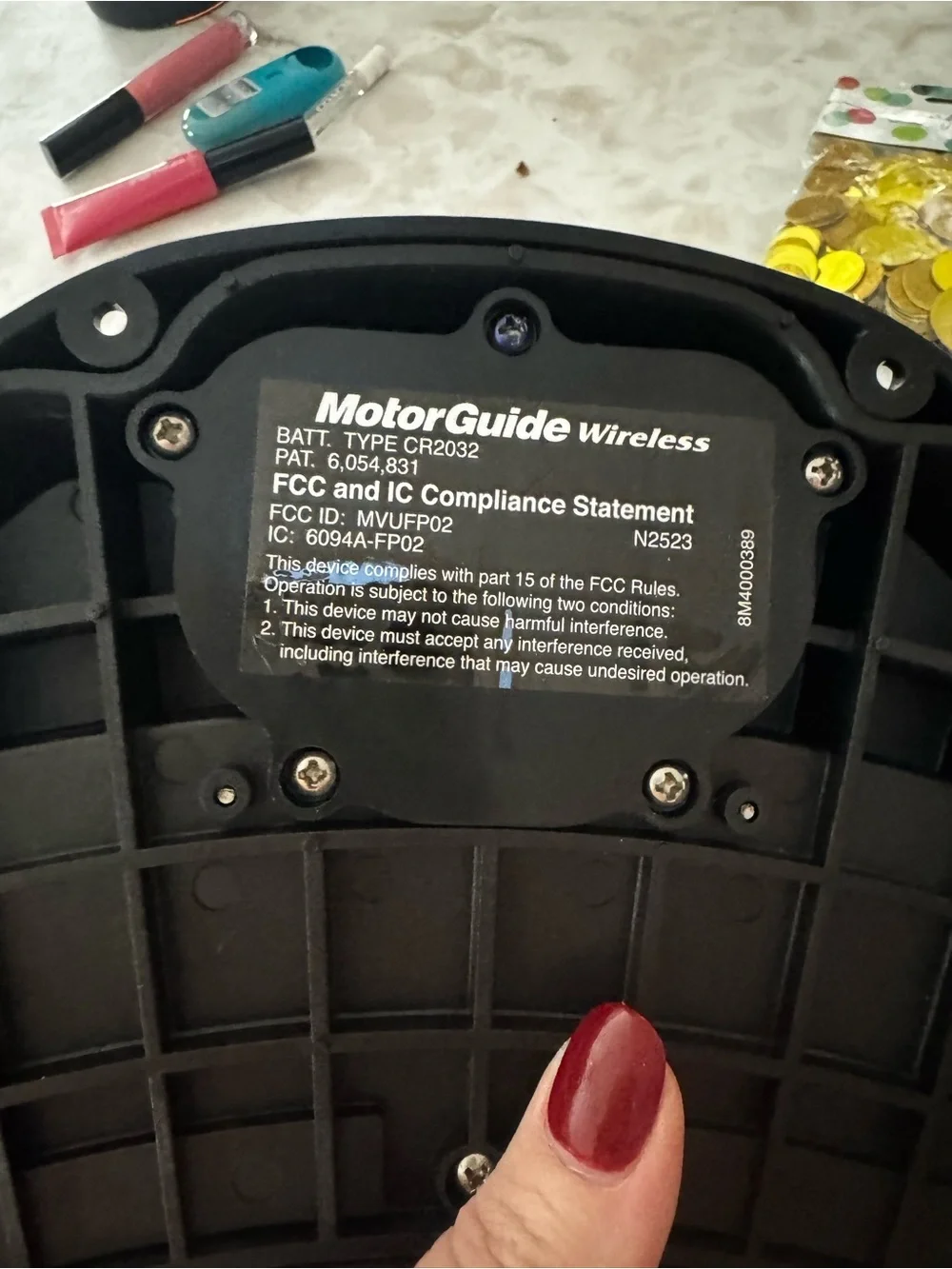 Motor Guide this marine